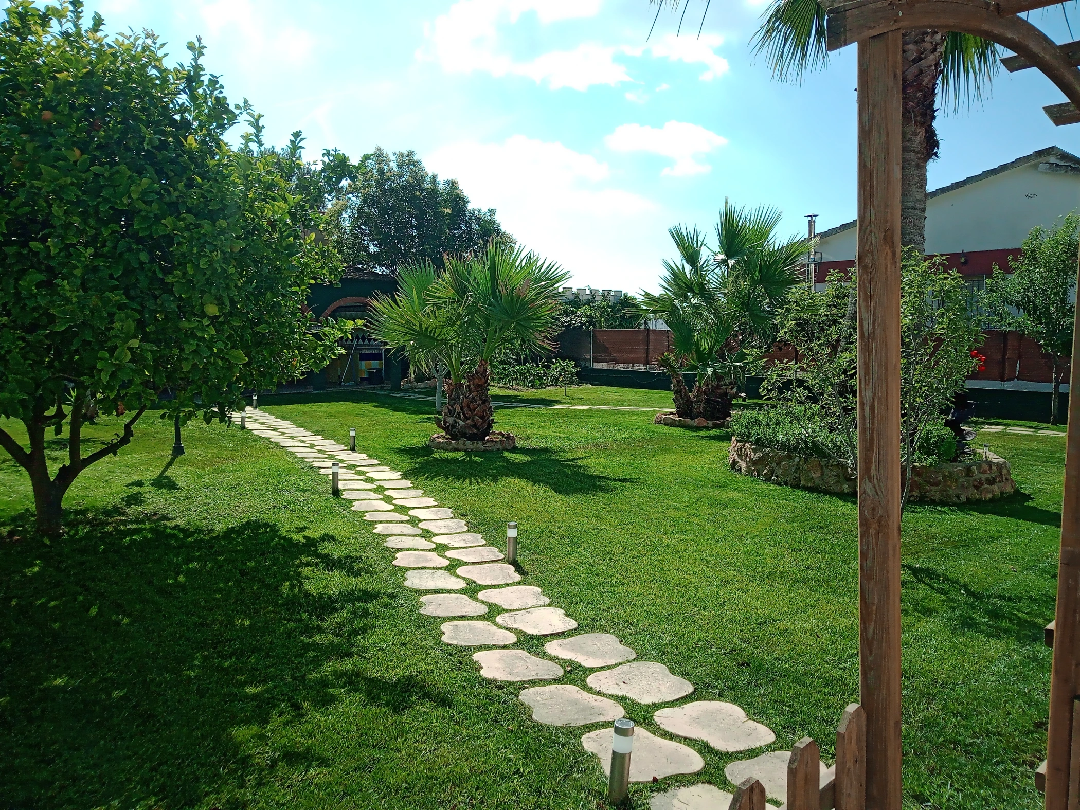 Jardin siembra de cesped natural despues